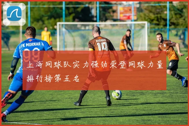 上海网球队实力强劲荣登网球力量排行榜第五名