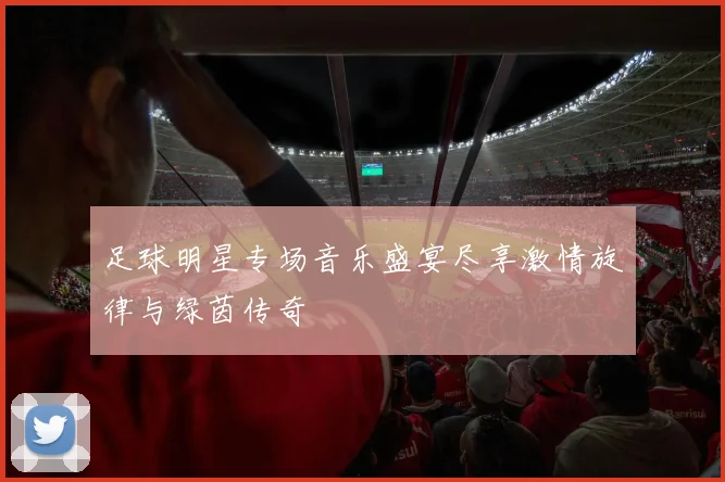 足球明星专场音乐盛宴尽享激情旋律与绿茵传奇