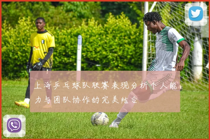 上海乒乓球队联赛表现分析个人能力与团队协作的完美结合