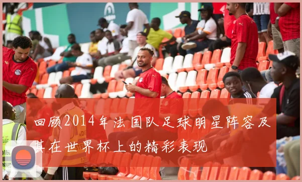 回顾2014年法国队足球明星阵容及其在世界杯上的精彩表现