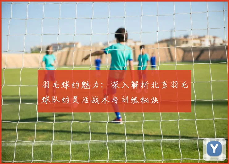 羽毛球的魅力：深入解析北京羽毛球队的灵活战术与训练秘诀